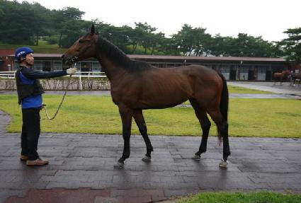 ť�ǵ��Ŀ� ����