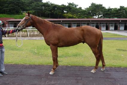 ���������� ����