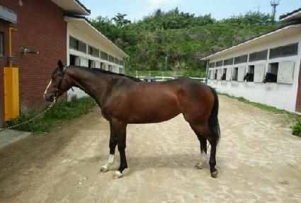 ��������Ʈ ����