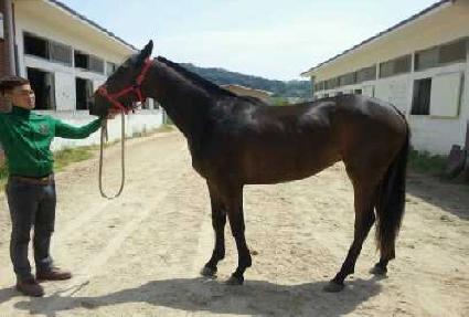 ��ũ������ ����