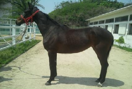 ī�캸�̻�� ����