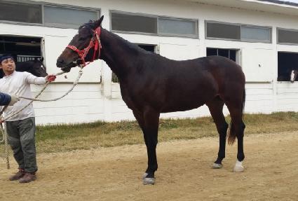 �����¡���� ����