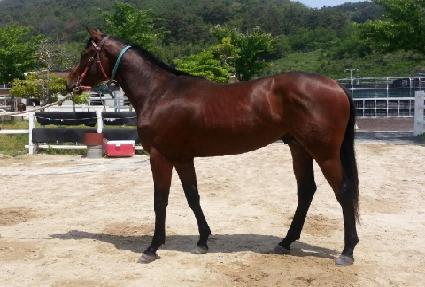 �������� ����