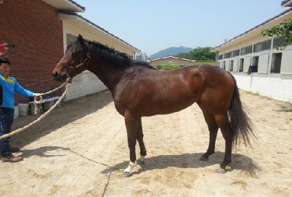 �����۷� ����