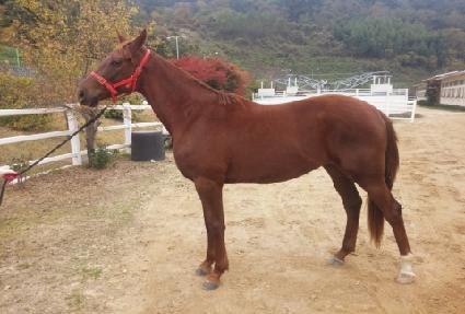 �䷱������ ����