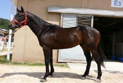 �����ǹٶ� ����