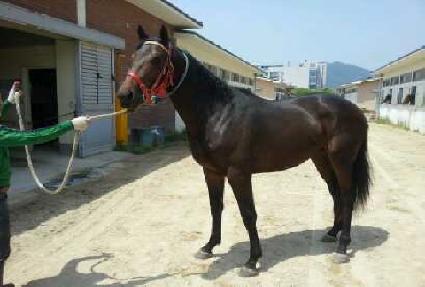 �ٴٵ��� ����