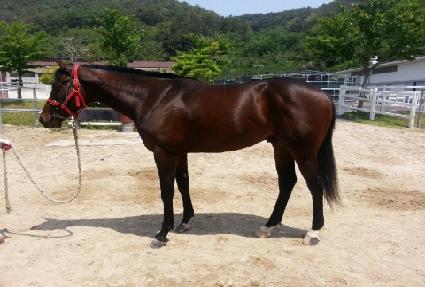 ũ��Ŀ��������Ƽ ����