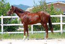 Ȧ����Ÿ (HOLY GANGTA) ����