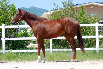 Ȧ����Ÿ ����