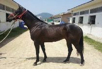 ����ũ���� (TAKE RUSH) ����