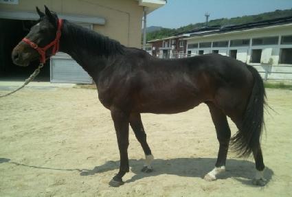 ���Ϻ��� ����