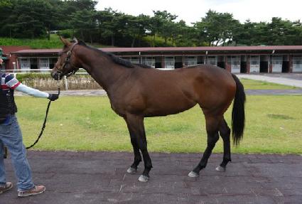 ����� ����