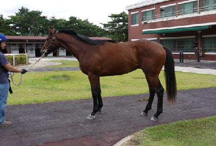 �ٺ��п��� ����