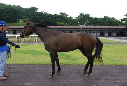 ��̵��� ����