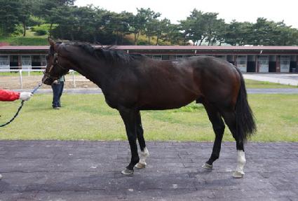 �뺨����� ����