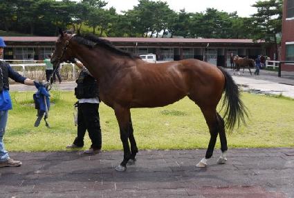 ���ۼ��� ����