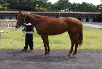 ���ۼ��� (SUPER SERENE) ����