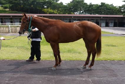 ���ۼ��� ����