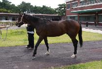 ��ǳ�ٶ� (TYPHOON BARAM) ����