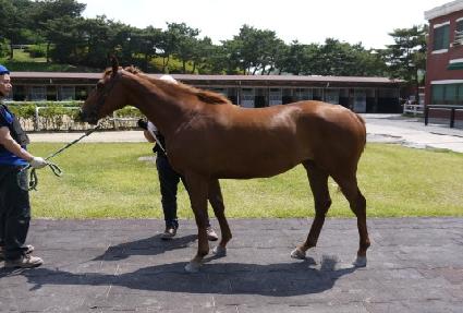 ������Ʈ��Ÿ ����