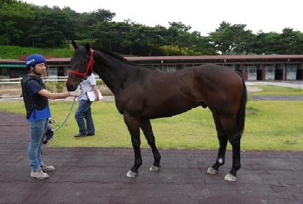 ���빰 ����