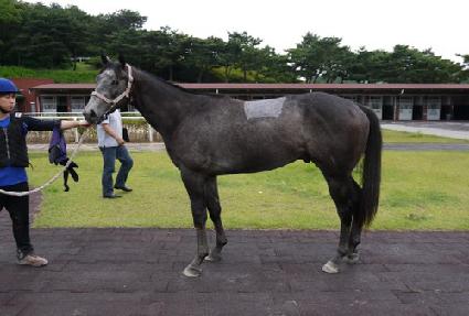 ĸƾ�빰 ����