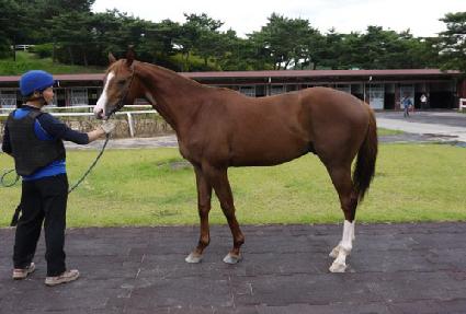 ��ĳ��� ����