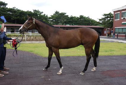 �Ƹ�����Ű ����