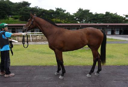 �Ƹ���ĸƾ ����