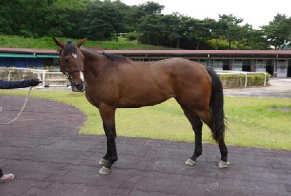 Ÿ������Ʈ ����