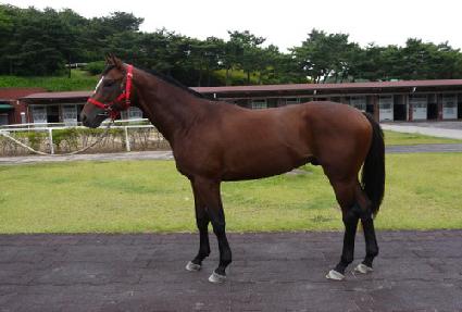 ���̾�ƮȦ�� ����