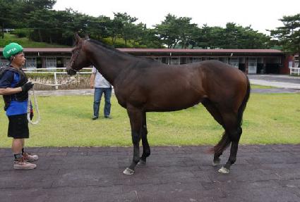 ����Ÿ�� ����