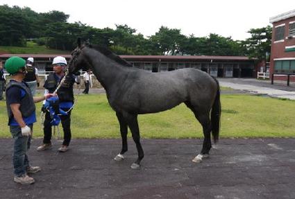 ������Ʈ���� ����