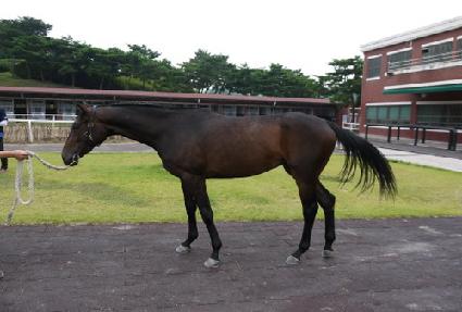 ������ ����