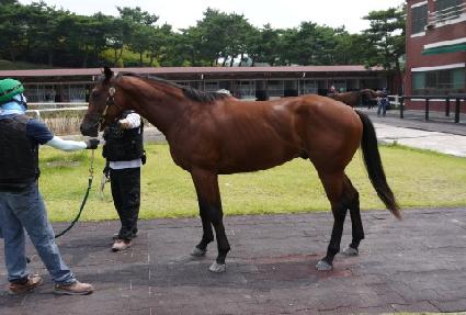 �ǴϽú��� ����