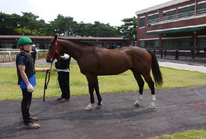 �������� ����