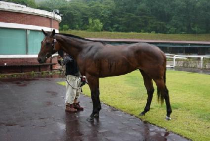 ����è�Ǿ� ����