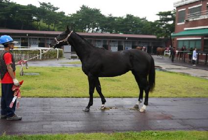 �������� ����