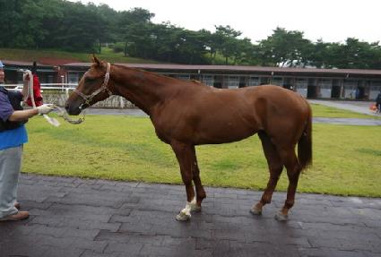 ĳ�׵��帲 ����