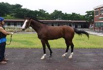 �Լ� (MEOKSOE) ����