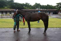 �������� (BONANZA WIN) ����