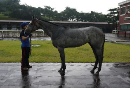 ��¾ƿ�� ����