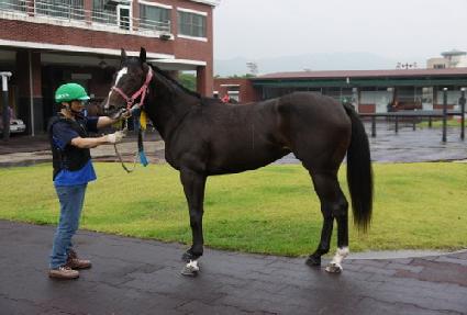 ���۰��� ����