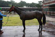 ���ۿ뱸 (SUPER YONGGU) ����