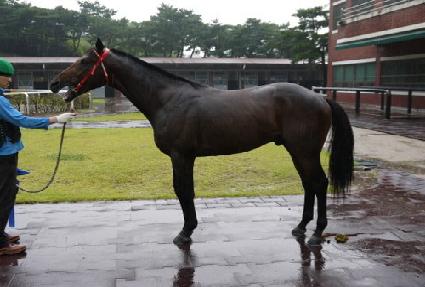 ���ۿ뱸 ����