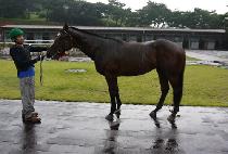 ������ũ (SAMJEONG TANK) ����