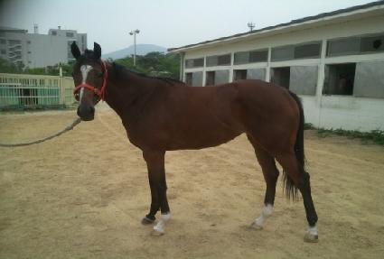 �������� ����