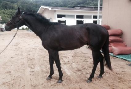 �̽�����ũ ����