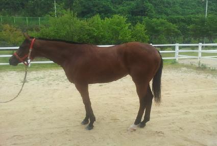 ���ī���� ����